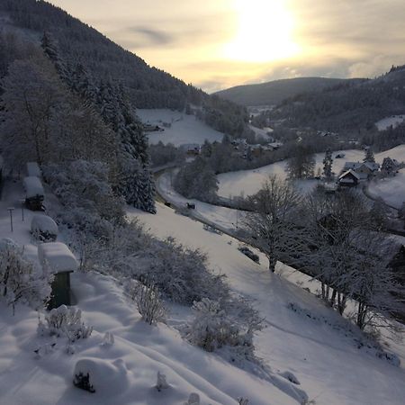 Altes Berghaus Apartment Obertal  ภายนอก รูปภาพ