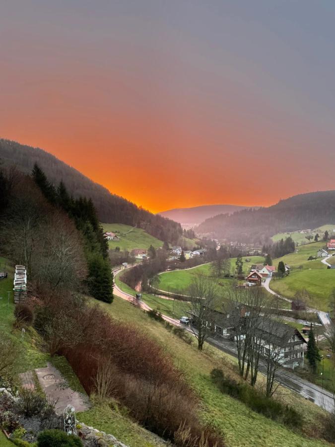 Altes Berghaus Apartment Obertal  ภายนอก รูปภาพ