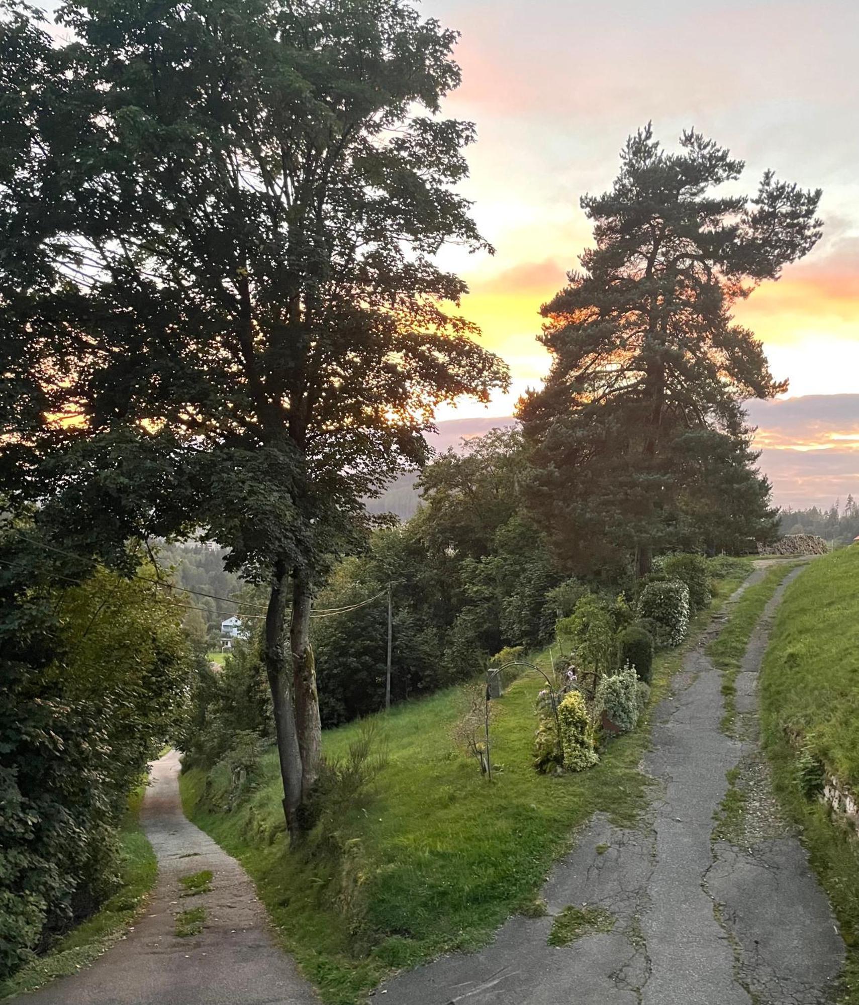 Altes Berghaus Apartment Obertal  ภายนอก รูปภาพ