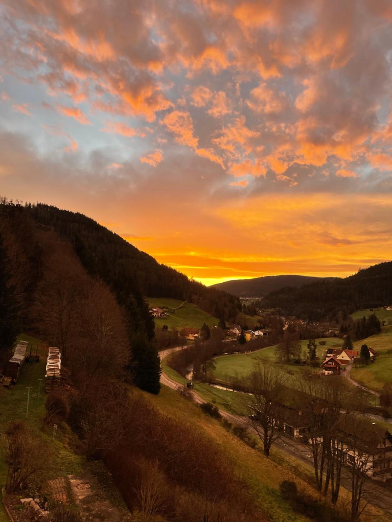 Altes Berghaus Apartment Obertal  ภายนอก รูปภาพ
